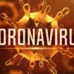 Coronavirus morto