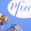 vaccini Pfizer
