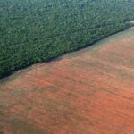 deforestazione-amazzonia