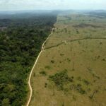 deforestazione-frontiera fuorilegge-amazzoniafOTO1-1200×764