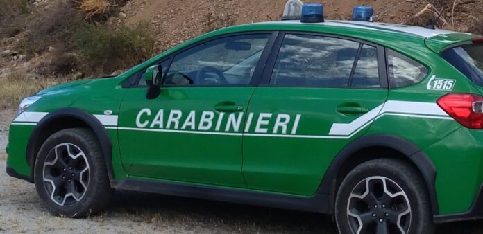 Bacoli Carabinieri Forestali