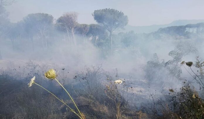 Incendio Terzigno Parco Nazionale Vesuvio
