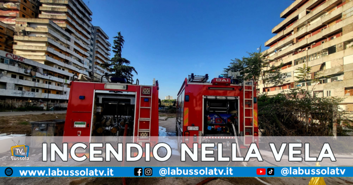 INCENDIO VELA ROSSA SCAMPIA