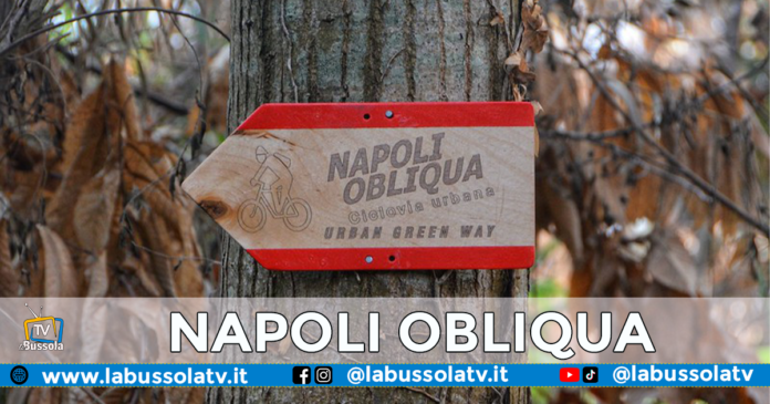 NAPOLI OBLIQUA