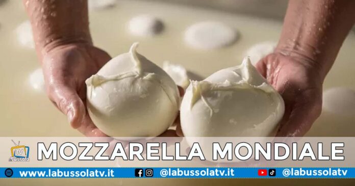 MOZZARELLA