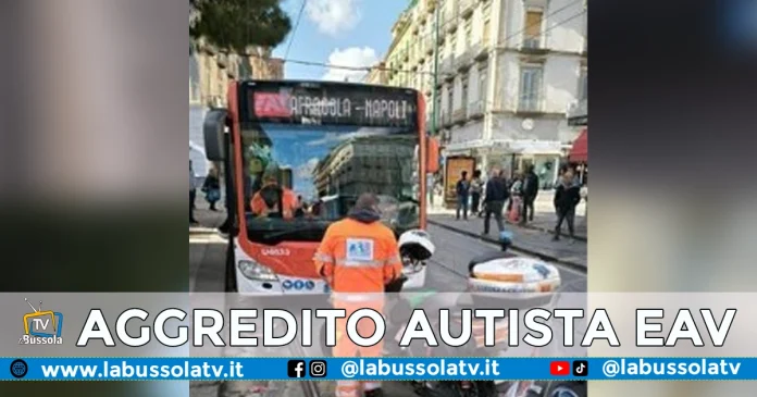 AUTISTA EAV