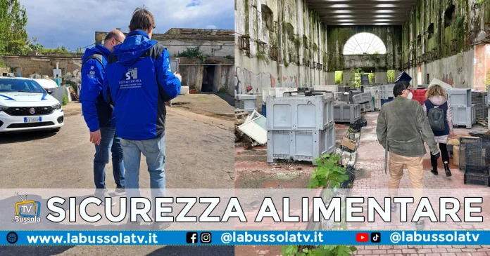 SICUREZZA ALIMENTARE NAPOLI