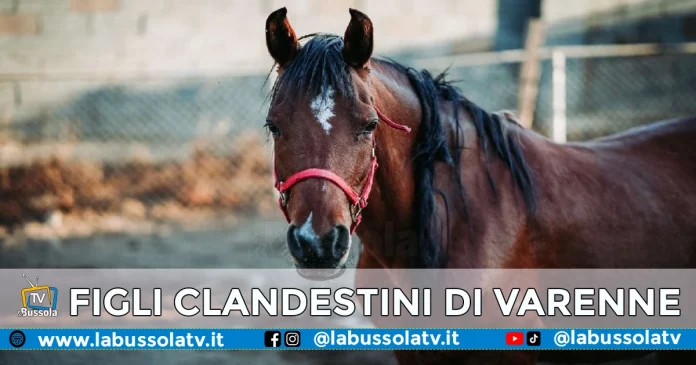 VARENNE