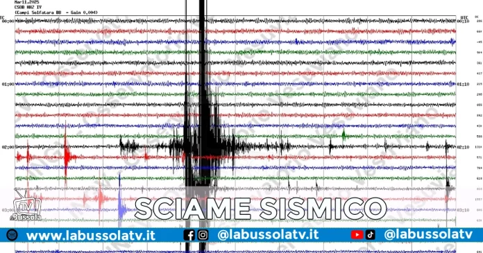 CAMPI FLEGREI SCIAME SISMICO