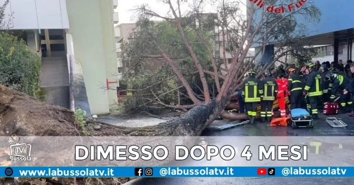 Studente colpito albero fisciano