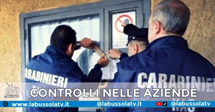 AZIENDE AGRICOLE CASERTA