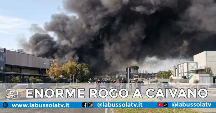 CAIVANO ROGO AZIENDA CHIMICA