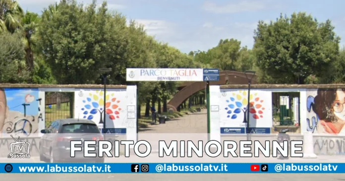 CARDITO