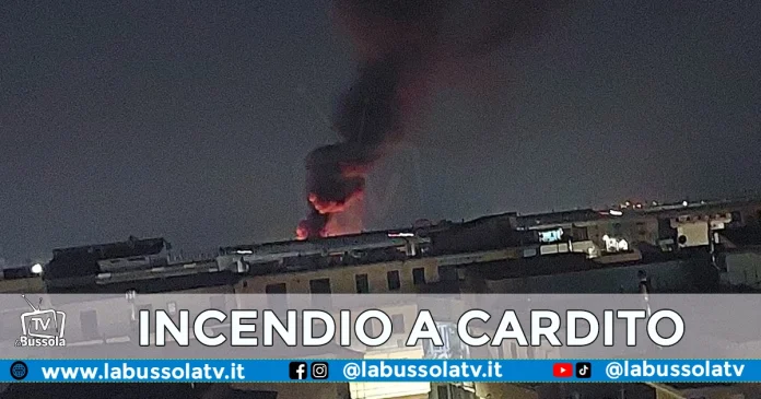 INCENDIO CARDITO