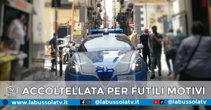 TITOLARE PIZZERA NAPOLI