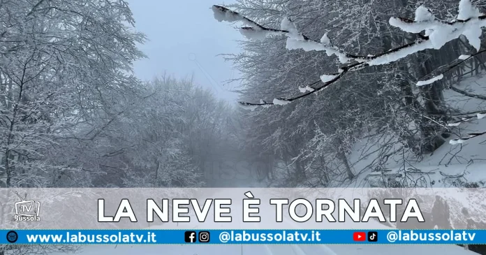 meteo campania