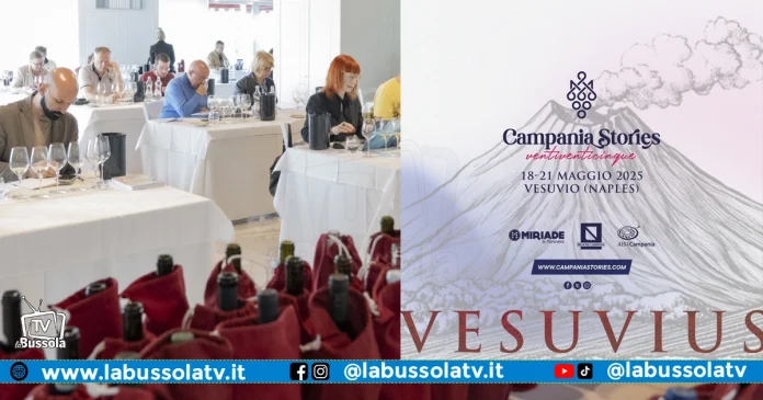 Campania Stories il Vesuvio