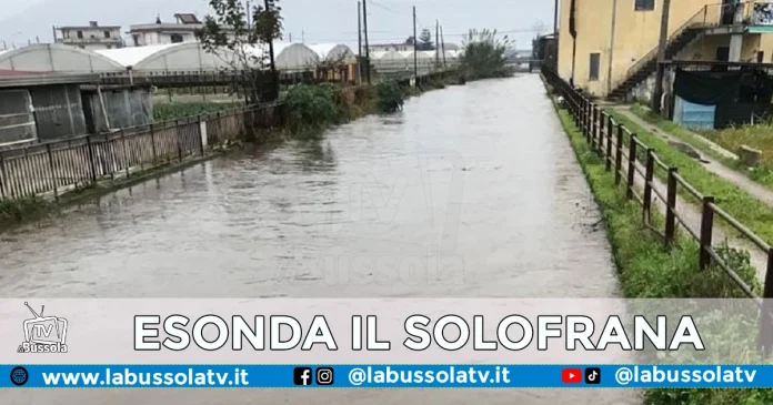 TORRENTE SOLOFRANA REPERTORIO