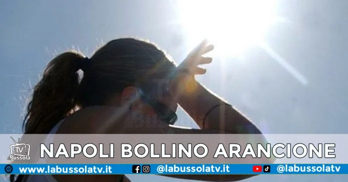 NAPOLI BOLLINO ARANCIONE