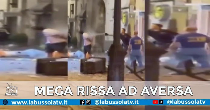 rissa aversa