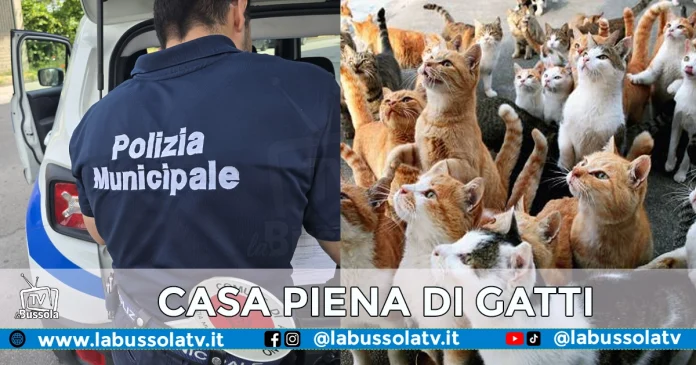ARZANO GATTI