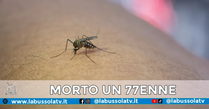 FEBBRE DEL NILO