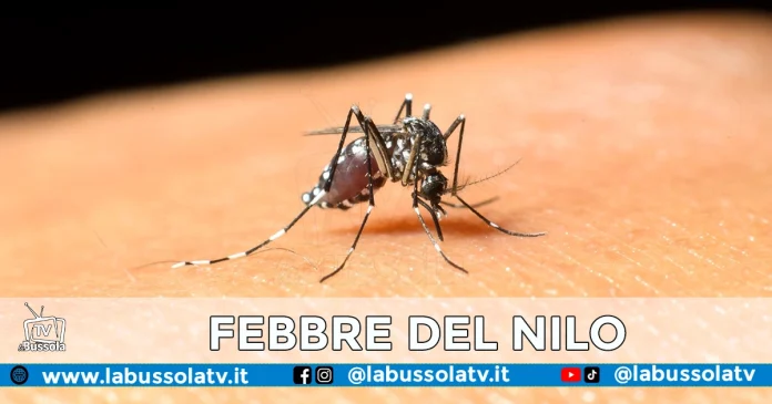 FEBBRE DEL NILO CASERTANO