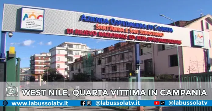 FEBBRE DEL NILO QUARTA VITTIMA CAMPANIA