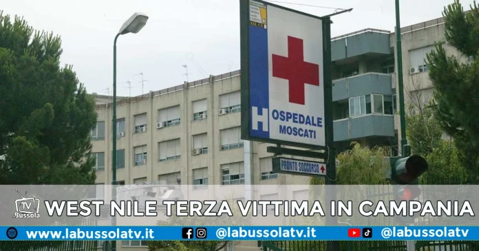 FEBBRE DEL NILO TERZA VITTIMA CAMPANIA