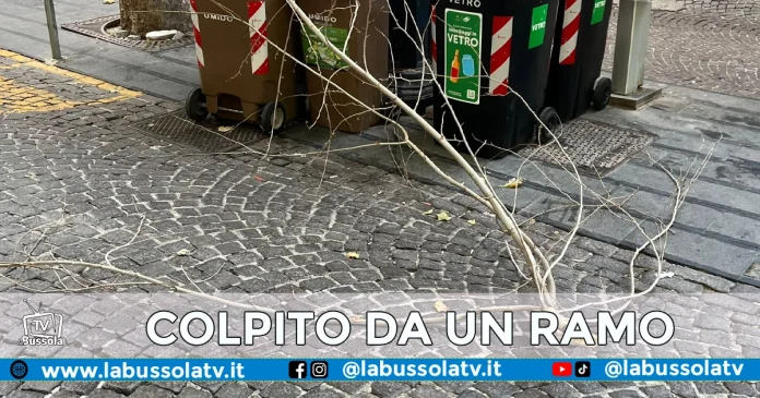 Vomero colpito da ramo