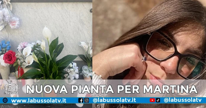 AFRAGOLA MARTINA CARBONARO PIANTA NUOVA