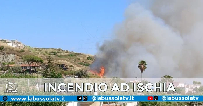 INCENDIO ISCHIA