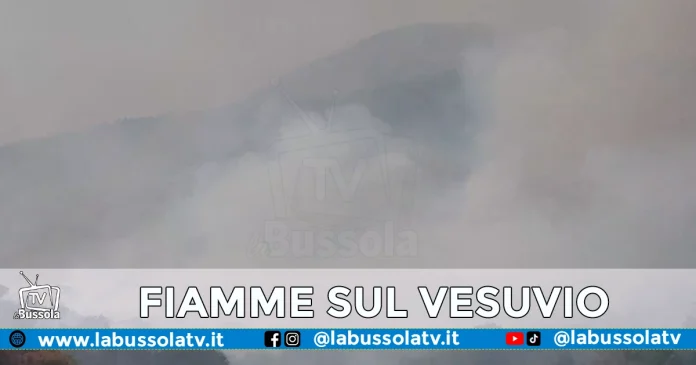 INCENDIO PARCO NAZIONALE VESUVIO