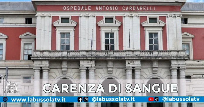 OSPEDALE CARDARELLI SANGUE