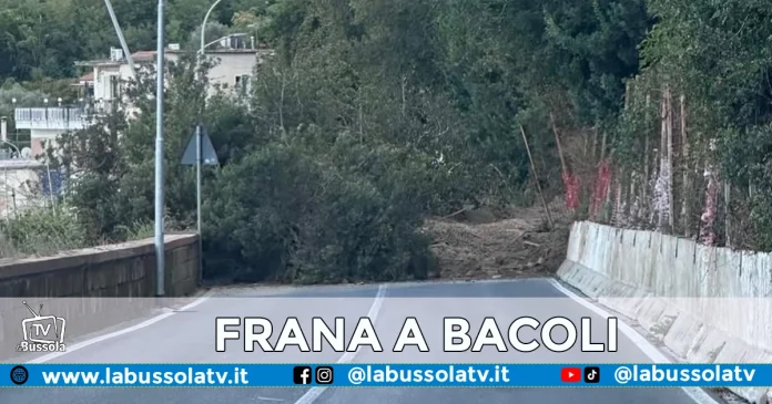 FRANA SCALANDRONE