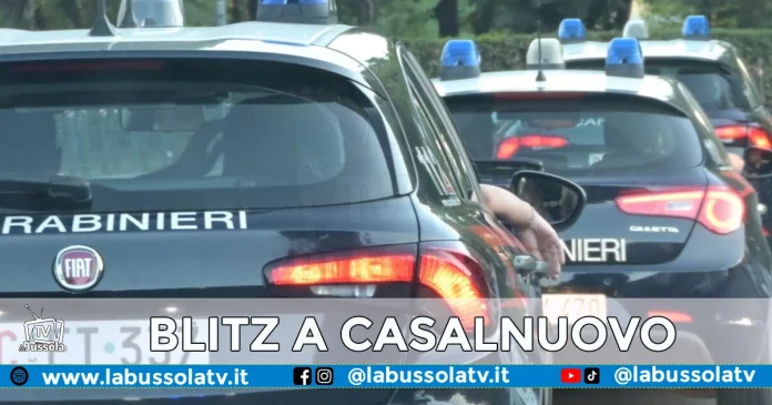 CASALNUOVO CLAN TAMMARO