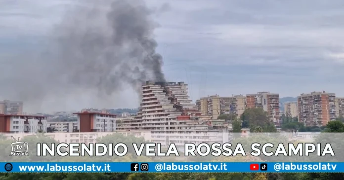 INCENDIO VELA ROSSA SCAMPIA