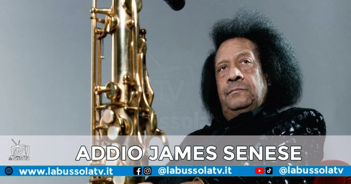 JAMES SENESE JAMES SENESE