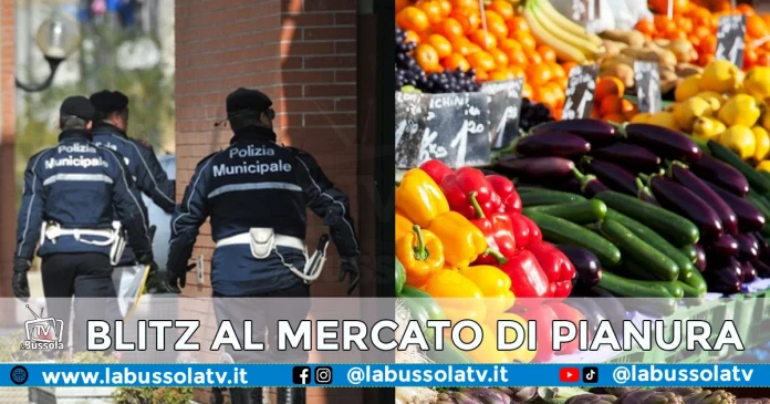 NAPOLI MERCATO PIANURA
