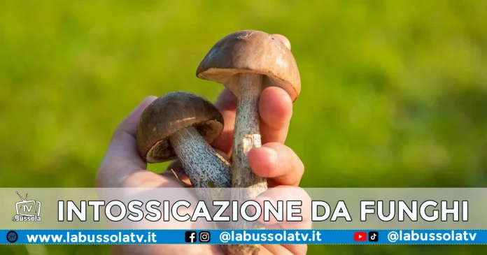 NAPOLI INTOSSICAZIONI DA FUNGHI