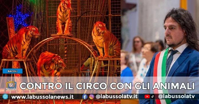 BACOLI CIRCO ANIMALI