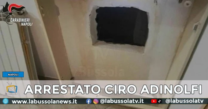 CIRO ADINOLFI LATITANTE