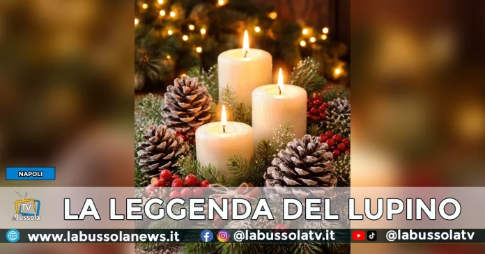 LA LEGGENDA DEL LUPINO