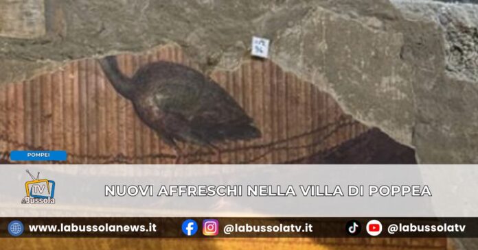 Pompei emergono nuovi affreschi da scavi di Villa di Poppea a Oplontis nel salone della Maschera e del Pavone
