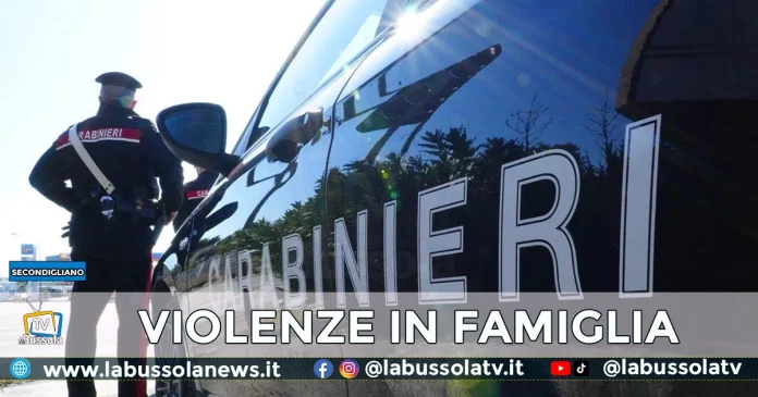 PICCHIA FRATELLO SECONDIGLIANO