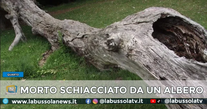 QUARTO GENNARO SOMMELLA