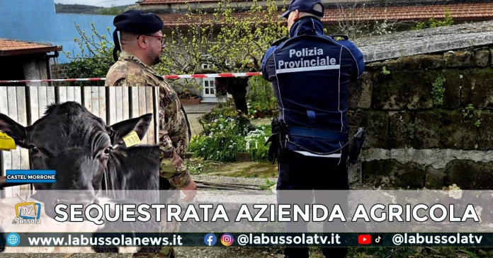 CASTEL MORRONE SEQUESTRATA AZIENDA AGRICOLA