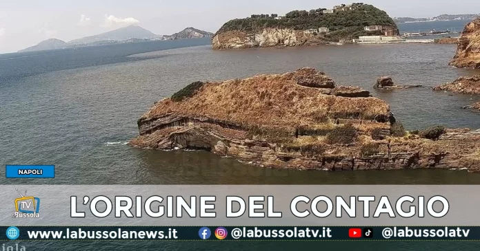 EPATITE A CAUSE CONTAGIO