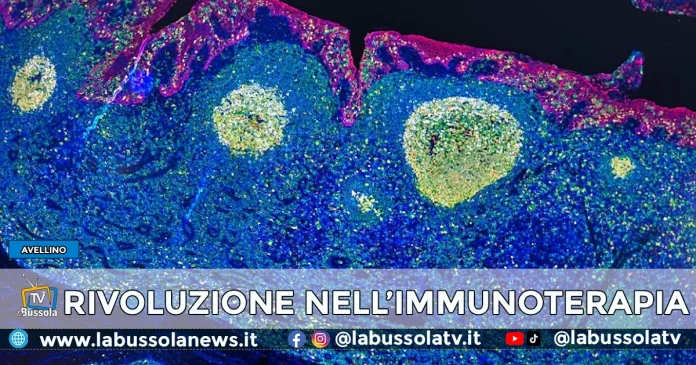 Irccs Fondazione Pascale