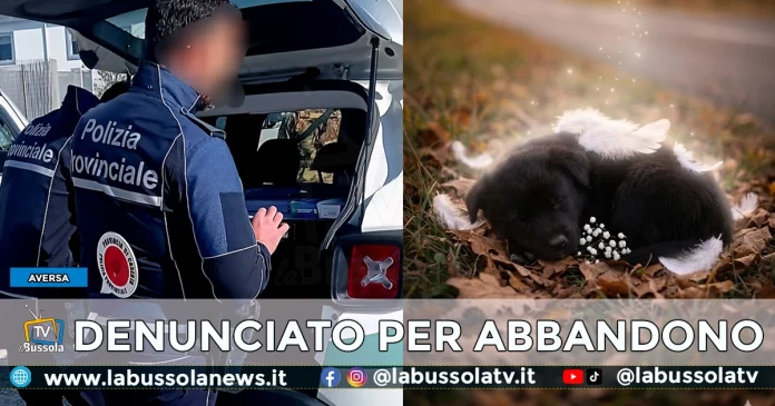 AVERSA DENUNCIATO PER AVER ABBANDONATO IL CANE
